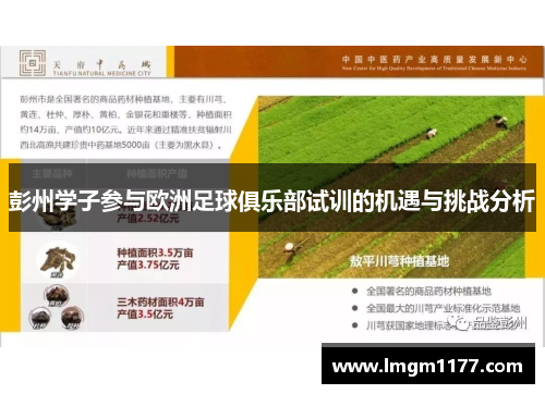 彭州学子参与欧洲足球俱乐部试训的机遇与挑战分析